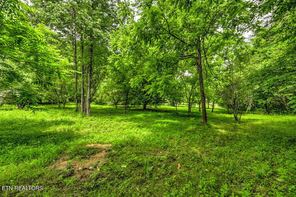 Stone Ridge Drive Andersonville, TN 37705 - Photo 19 of 19 94