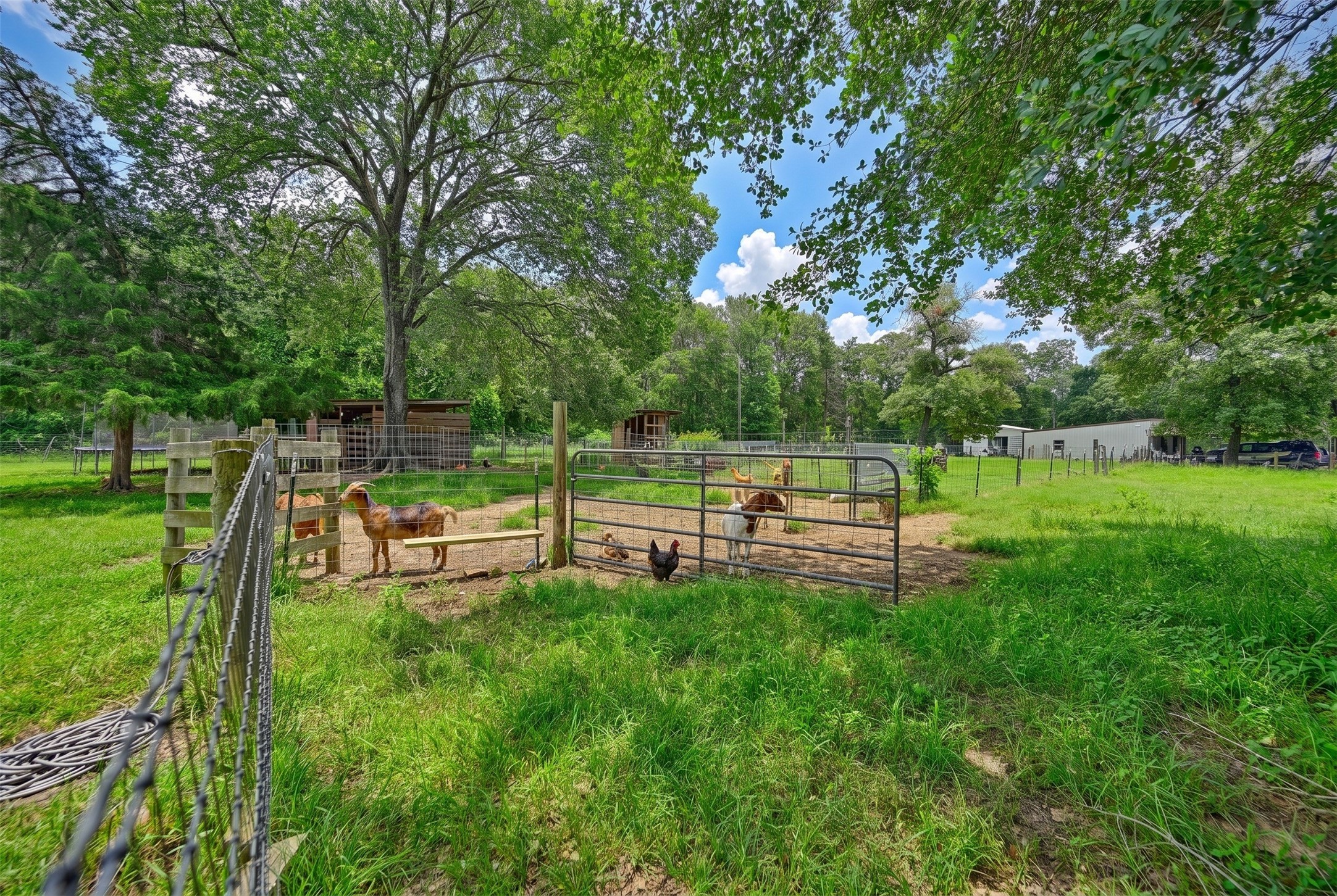 16292 Sycamore Road Cat Spring, TX 78933 - Photo 31 of 33
