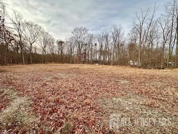 a backyard of a house with trees