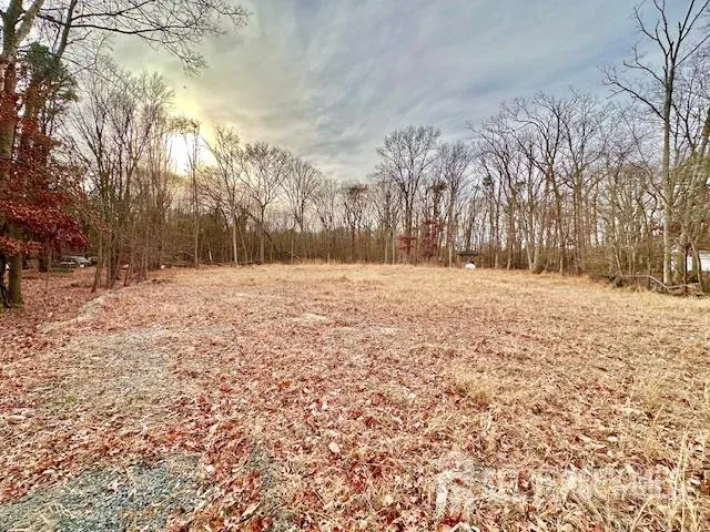 a street view covered with snow