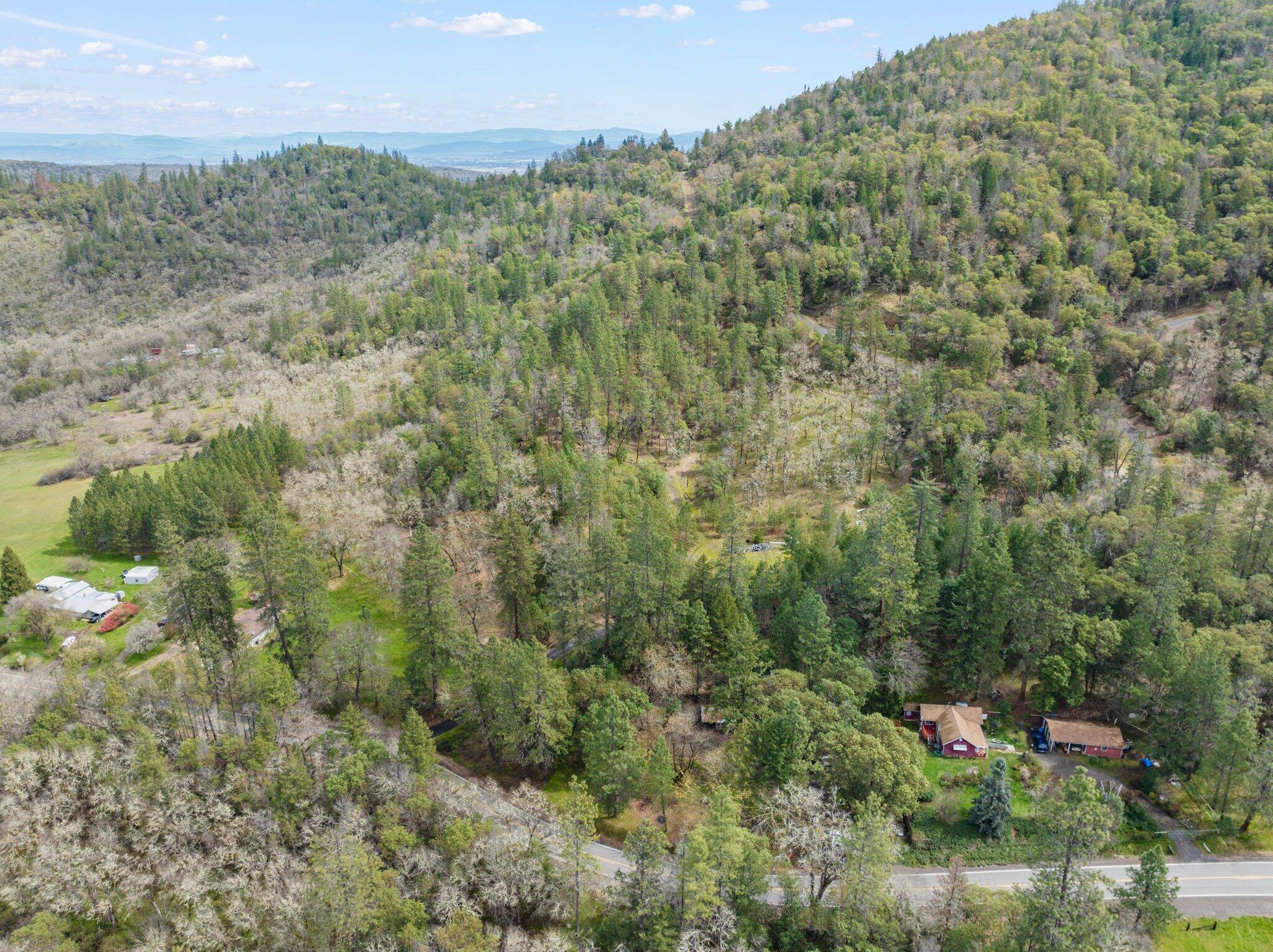 4618 Kane Creek Road Central Point, OR 97502 - Photo 1 of 19 a view of a forest with a street