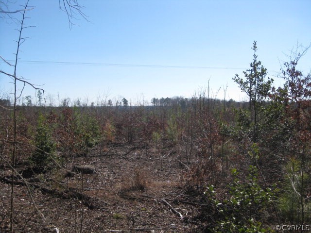 0 Wheeler Pond Road Dinwiddie, VA 23841 - Photo 1 of 10 a view of mountain view with lots of trees