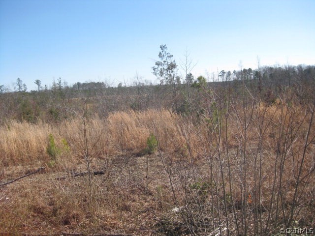 0 Wheeler Pond Road Dinwiddie, VA 23841 - Photo 2 of 10 a view of a lake in middle of the forest