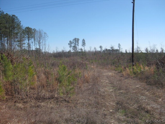 0 Wheeler Pond Road Dinwiddie, VA 23841 - Photo 3 of 10 a view of a dry yard with trees