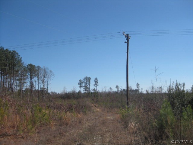 0 Wheeler Pond Road Dinwiddie, VA 23841 - Photo 4 of 10 a view of a city