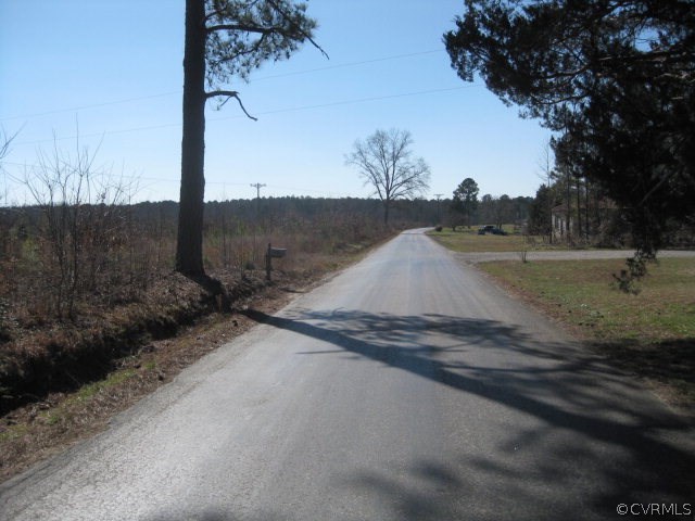 0 Wheeler Pond Road Dinwiddie, VA 23841 - Photo 5 of 10 a view of a yard