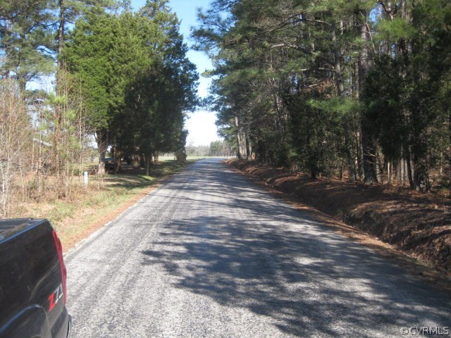 0 Wheeler Pond Road Dinwiddie, VA 23841 - Photo 6 of 10 a view of a yard with plants and trees
