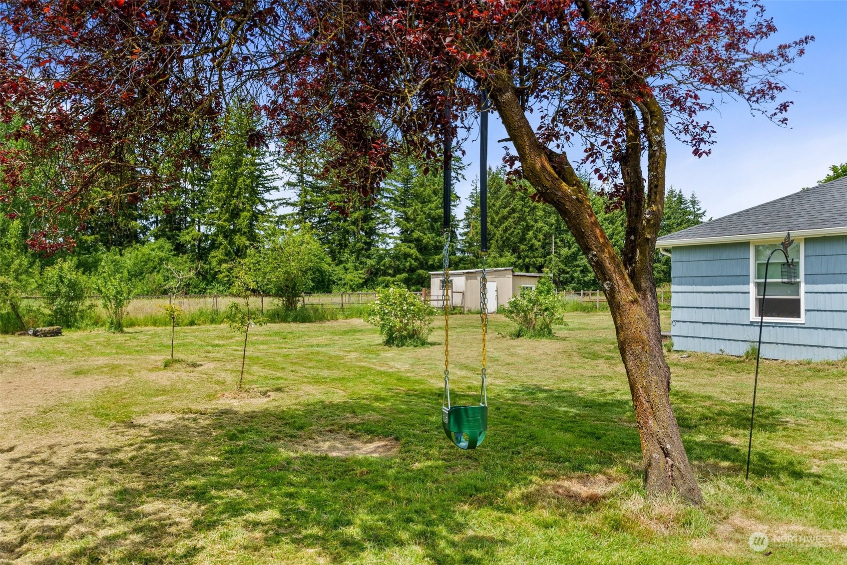 340 Meier Road Winlock, WA 98596 - Photo 24 of 26 a view of a yard with a tree