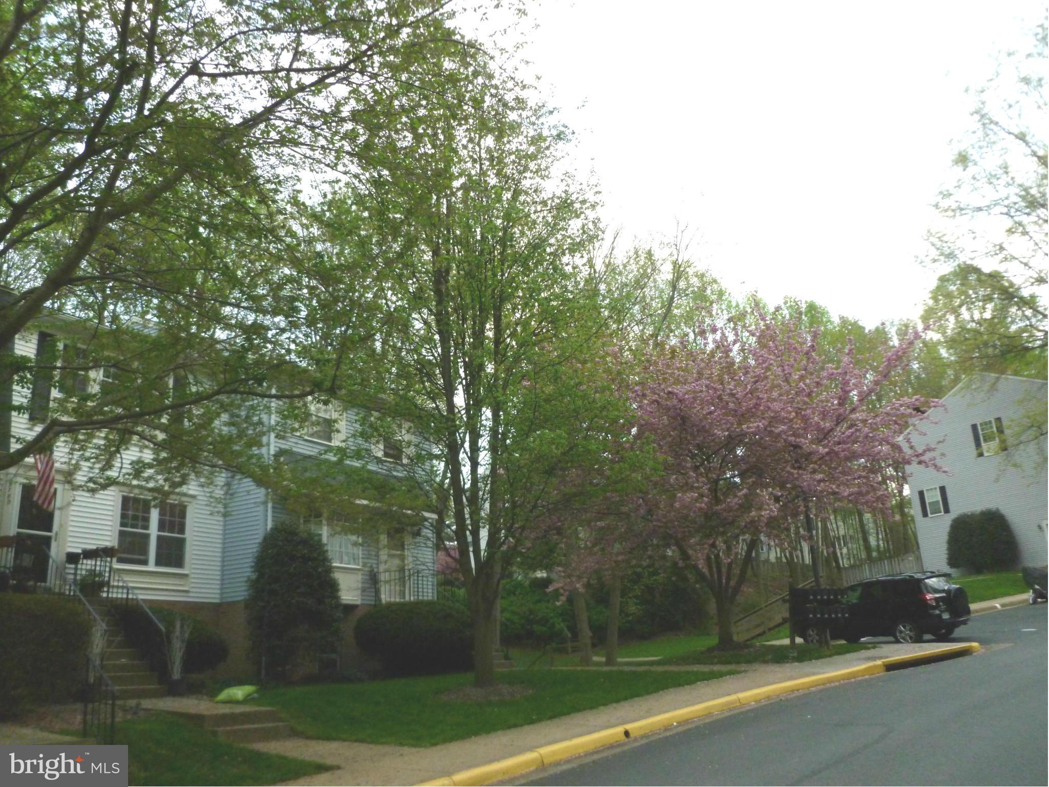5810 1st Landing Way, Unit 124 Burke, VA 22015 - Photo 19 of 20 front view of a house with a yard