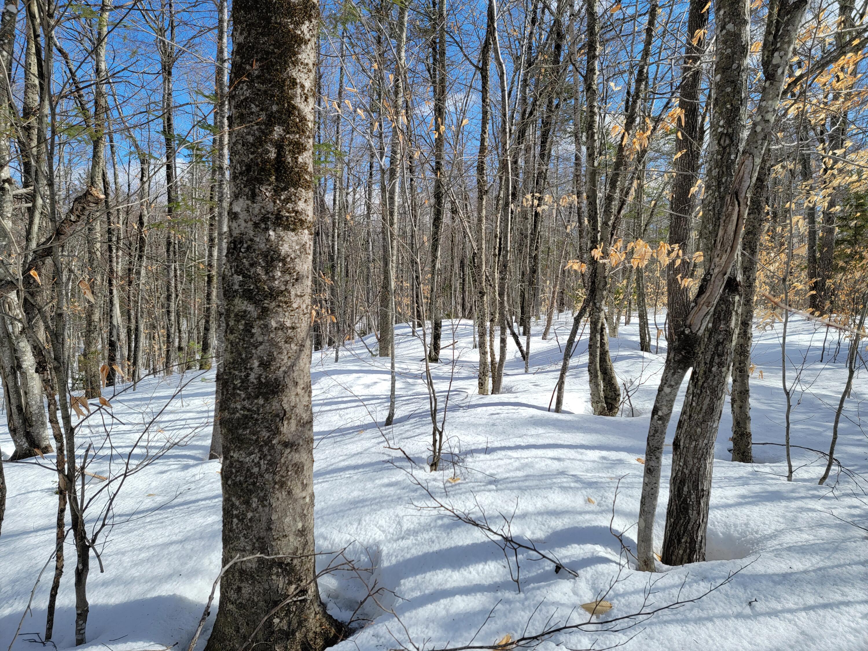 M3-l8a Roxbury Notch Road Roxbury, ME 04275 - Photo 18 of 37 Roxbury Notch Lot 8A