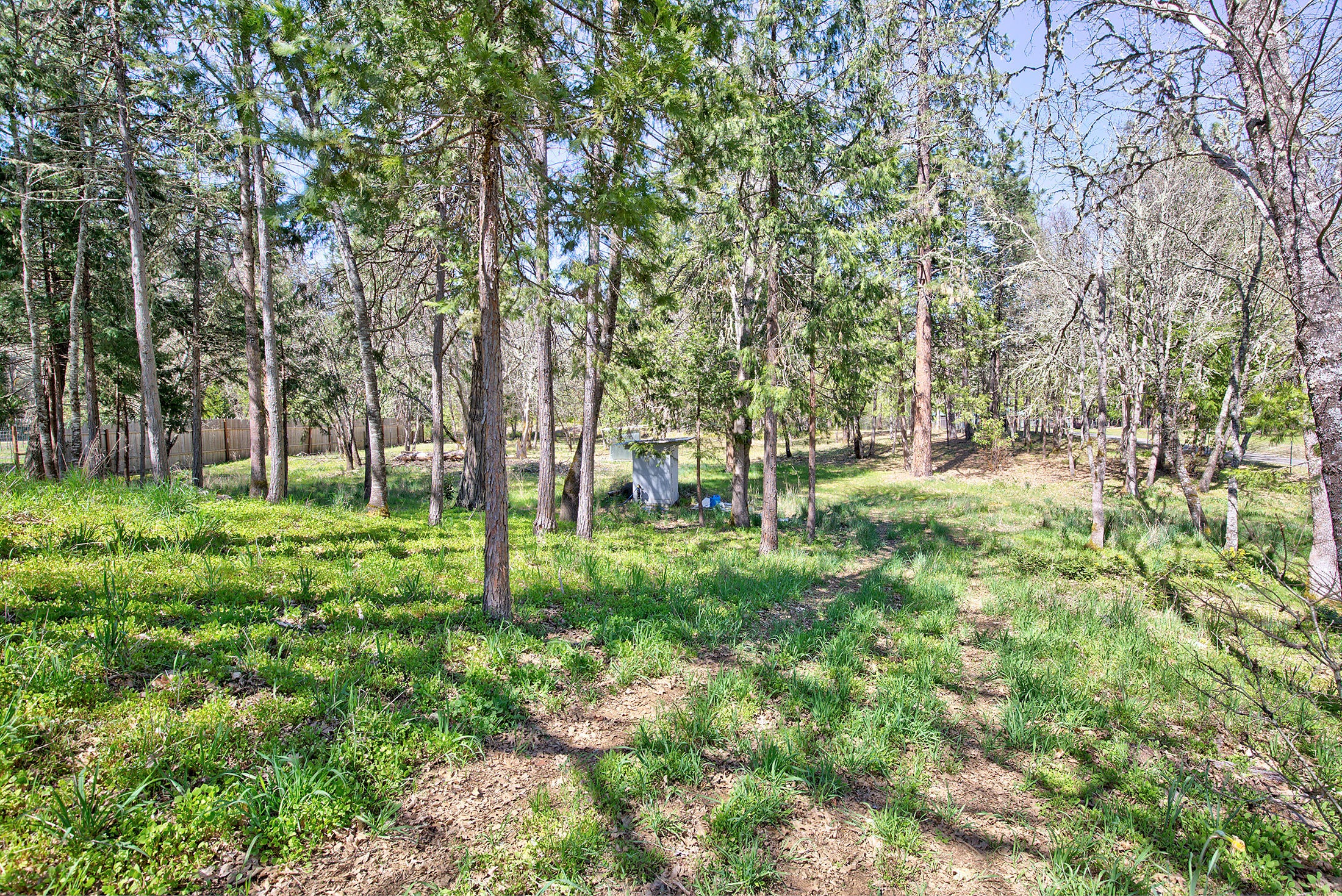 2604 Cedar Flat Road Williams, OR 97544 - Photo 42 of 46 047cedar flat