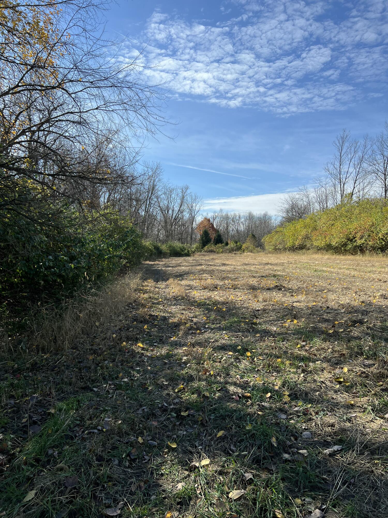 6000 Tomer Road Clayton, MI 49235 - Photo 2 of 9 IMG_3359