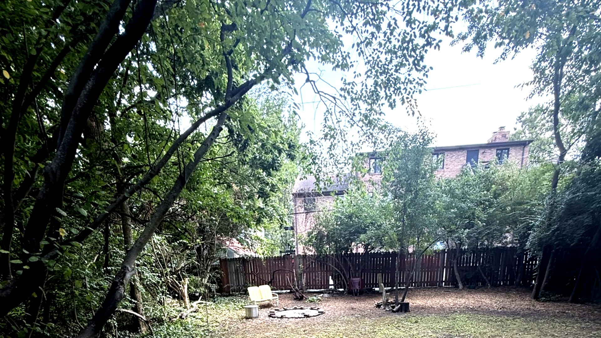 707 West Iowa Street Urbana, IL 61801 - Photo 16 of 25 a view of backyard with outdoor seating and trees