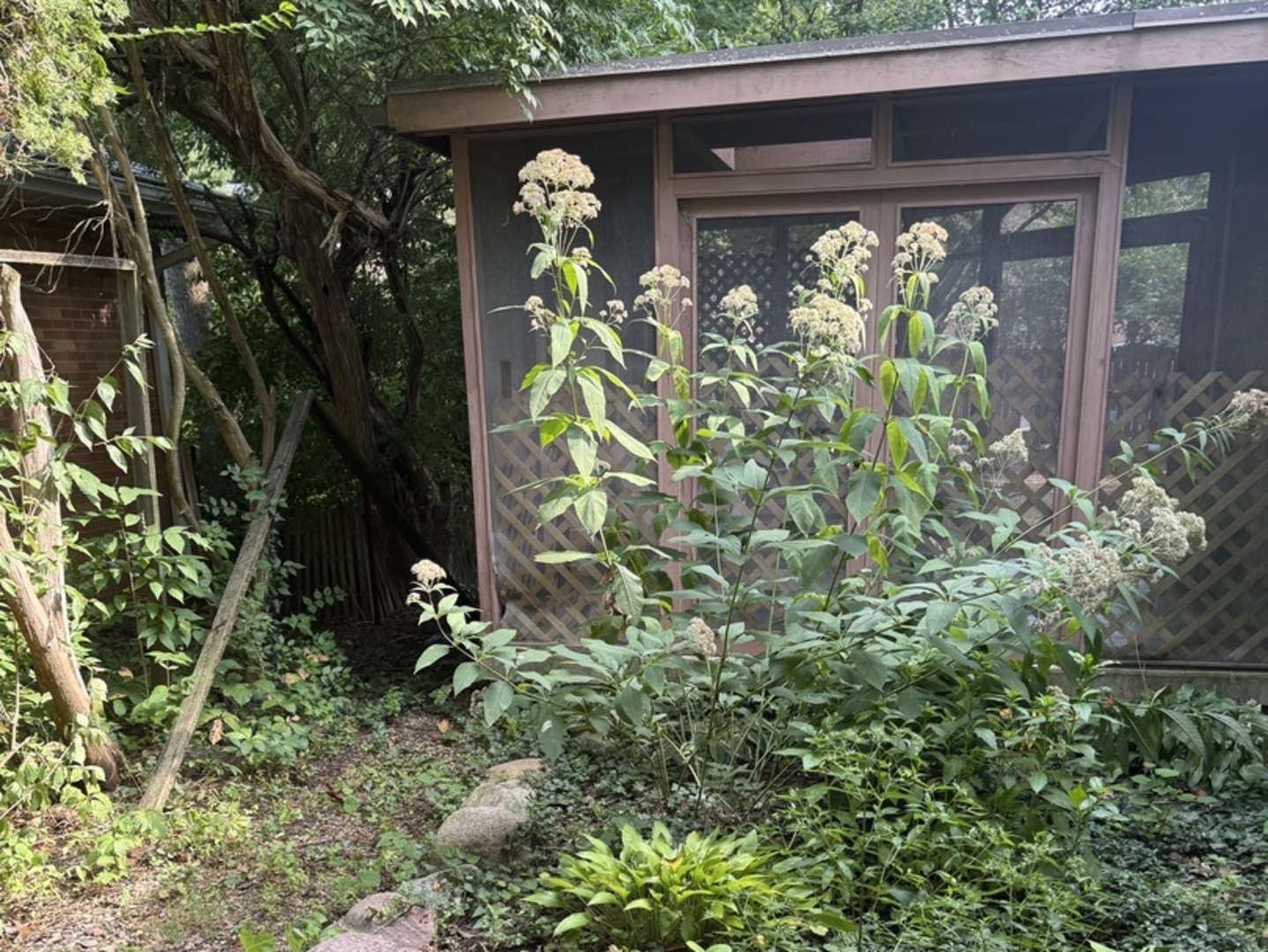 707 West Iowa Street Urbana, IL 61801 - Photo 23 of 25 a front view of a house with plants