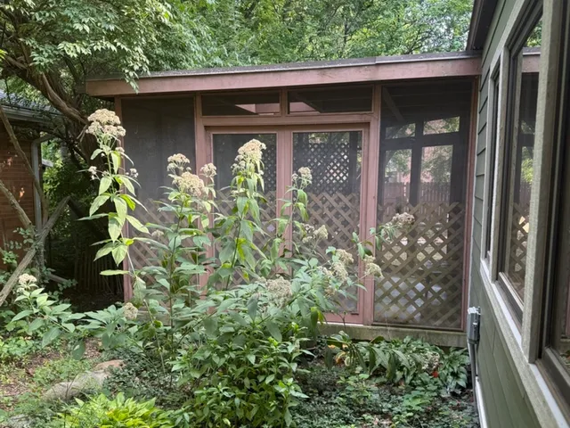 $1,850 | 707 West Iowa Street, Urbana, IL 61801