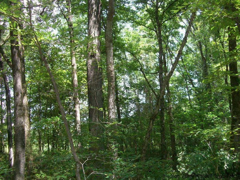 Tbd North Chodikee Lake Road Highland, NY 12528 - Photo 3 of 6 Photo 3