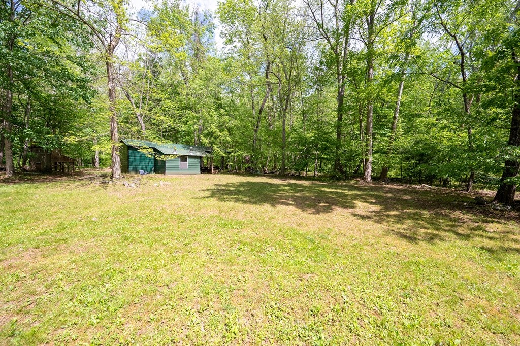 56-acres Runnett Bag Road Ferrum, VA 24088 - Photo 29 of 44 Gallery Image 29