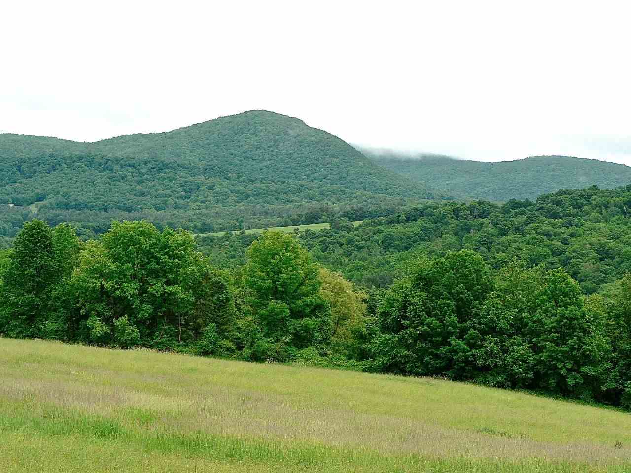 100 Beaver Brook Road Pawlet, VT 05761 - Photo 4 of 5 Gallery Image 4