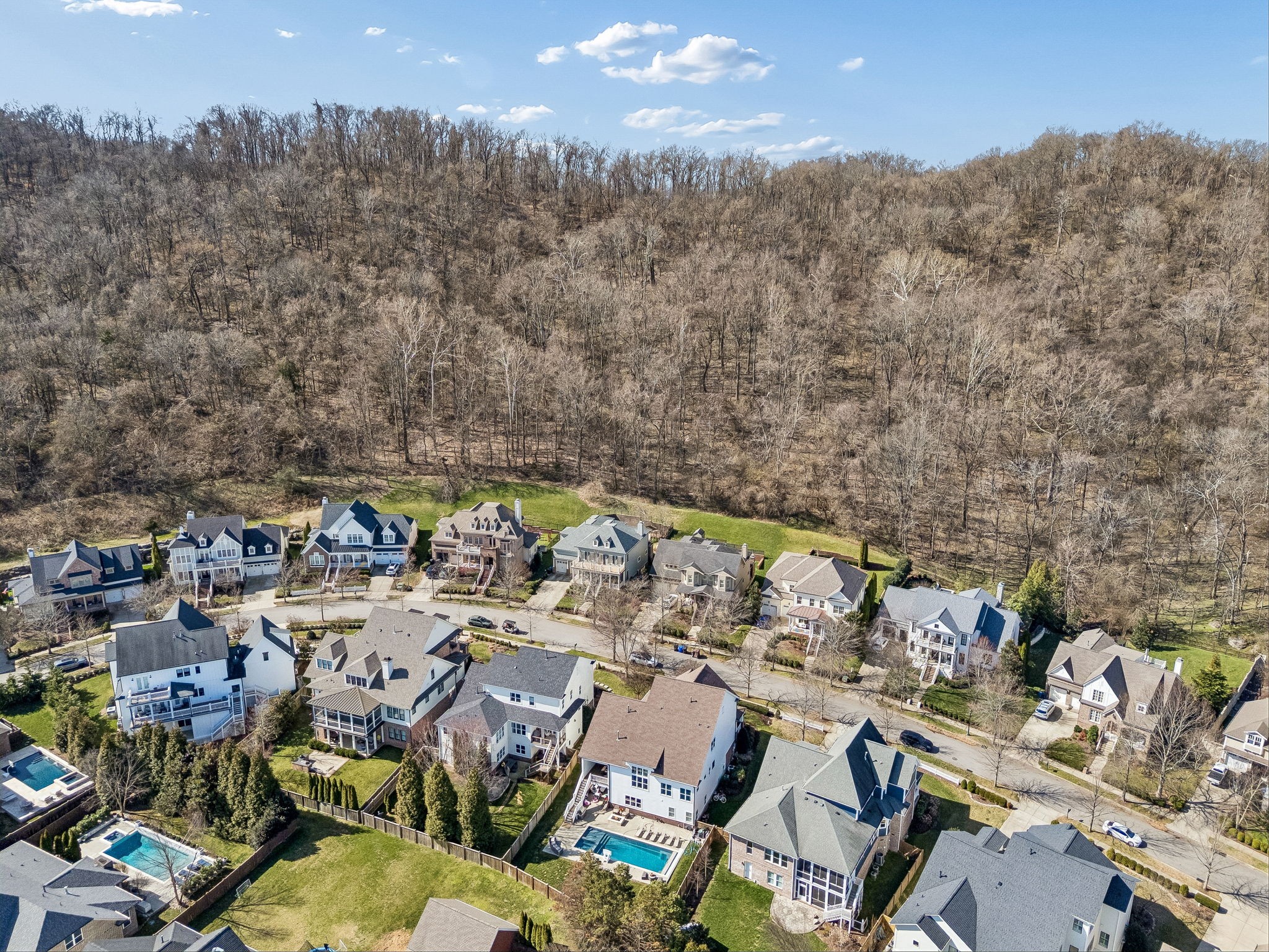444 Wild Elm Street Franklin, TN 37064 - Photo 25 of 30 a picture of city view with lots of trees