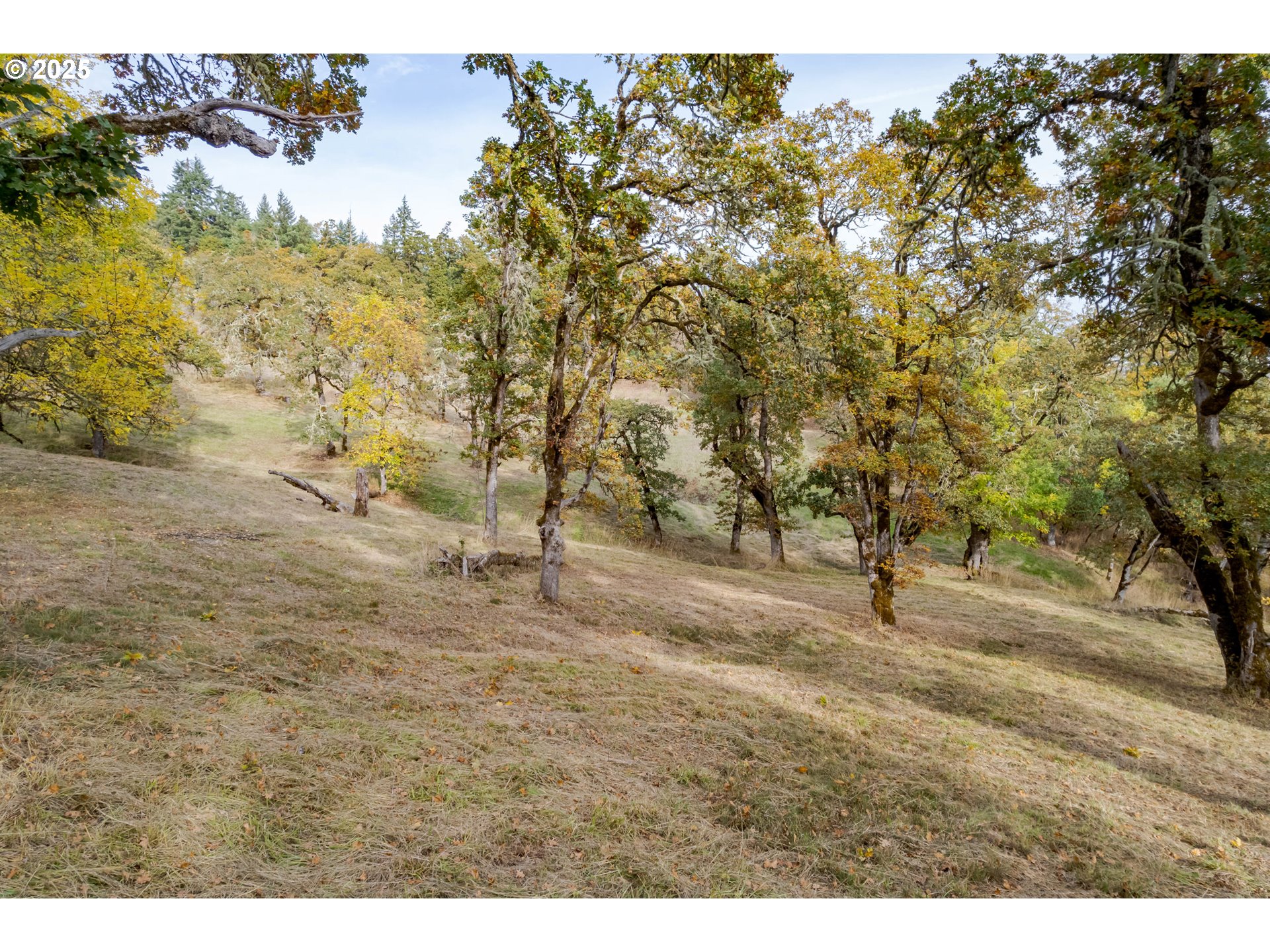 Hidden Meadows Eugene, OR 97405 - Photo 14 of 23