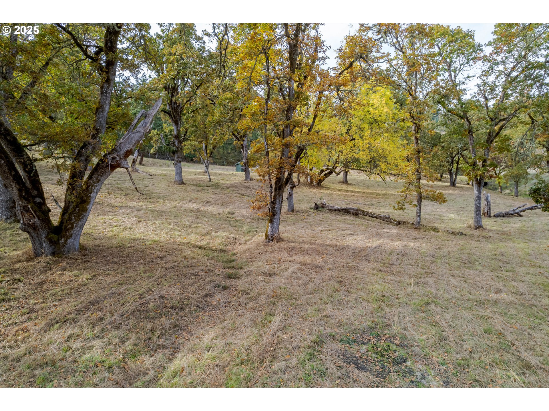 Hidden Meadows Eugene, OR 97405 - Photo 15 of 23