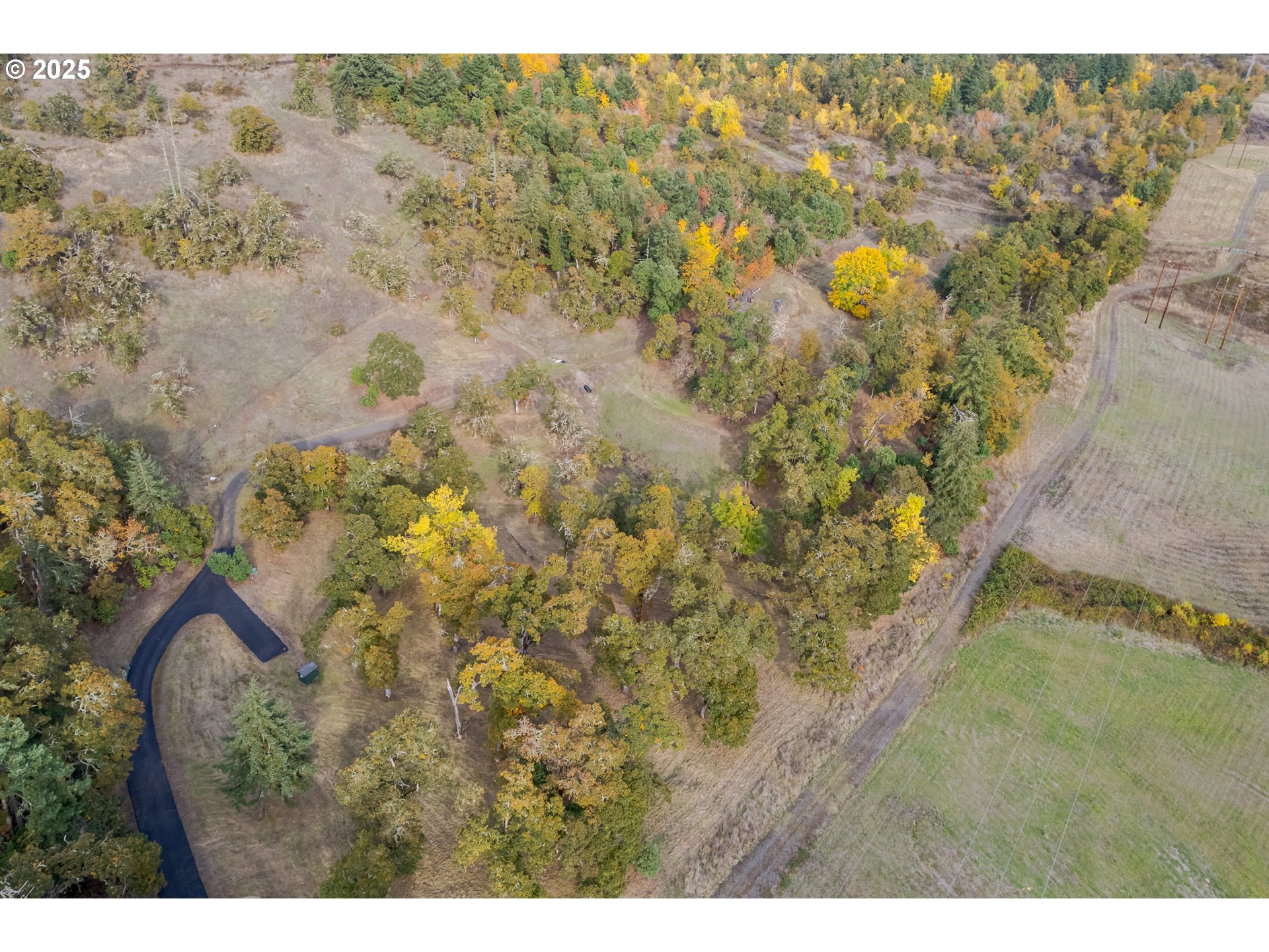 Hidden Meadows Eugene, OR 97405 - Photo 23 of 23