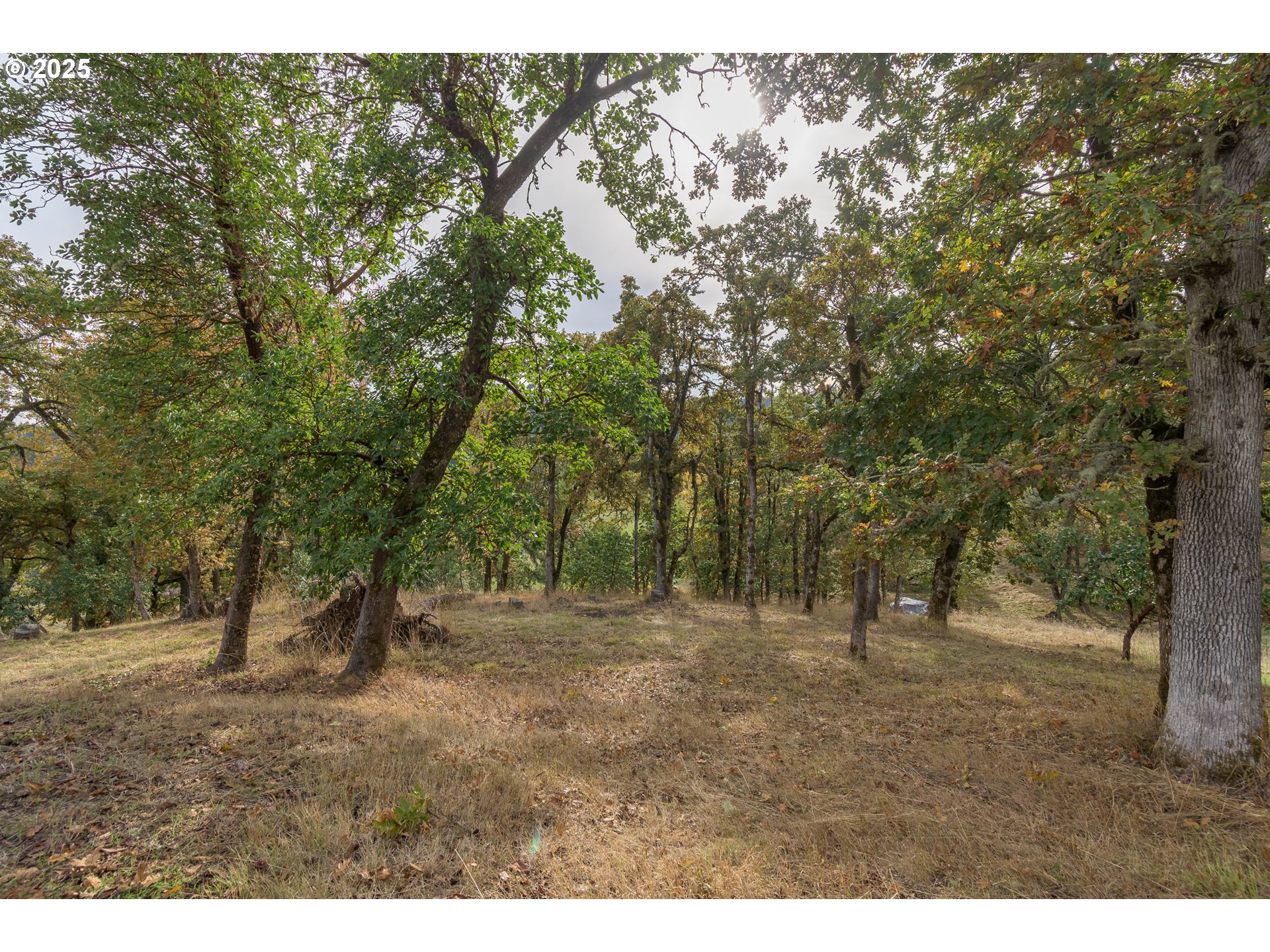 Hidden Meadows Eugene, OR 97405 - Photo 7 of 23