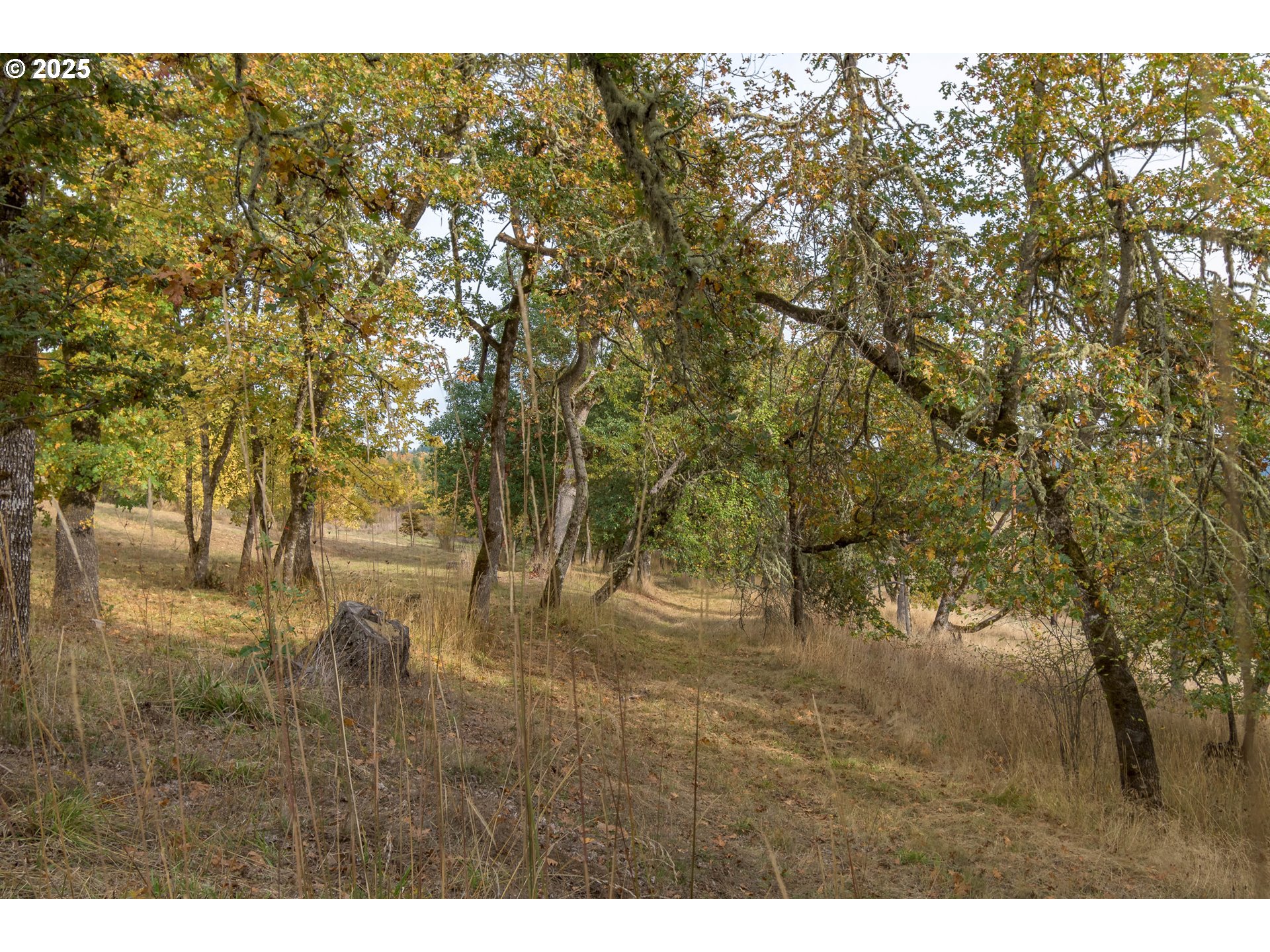 Hidden Meadows Eugene, OR 97405 - Photo 8 of 23