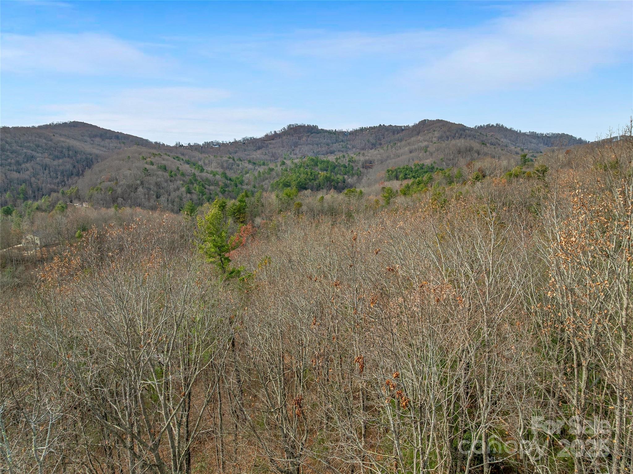 9999-18 Bob Barnwell Road Asheville, NC 28803 - Photo 11 of 25 a view of lake with mountain