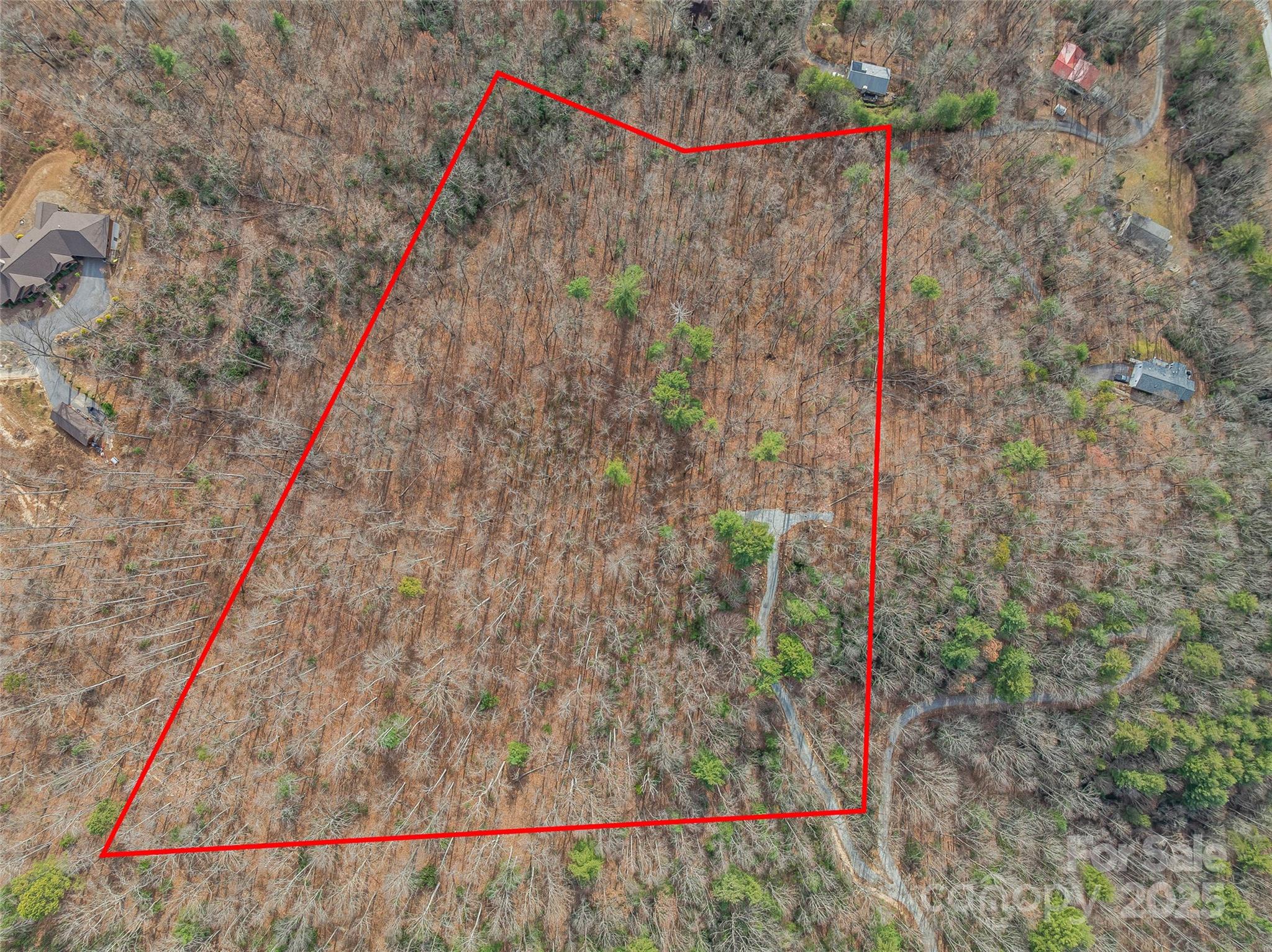 9999-18 Bob Barnwell Road Asheville, NC 28803 - Photo 15 of 25 a bird view of a forest