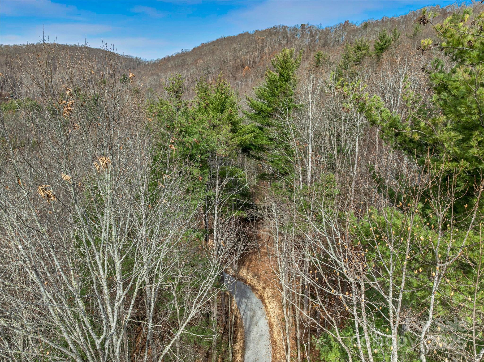 9999-18 Bob Barnwell Road Asheville, NC 28803 - Photo 16 of 25 a view of a lush green forest with mountains in the background