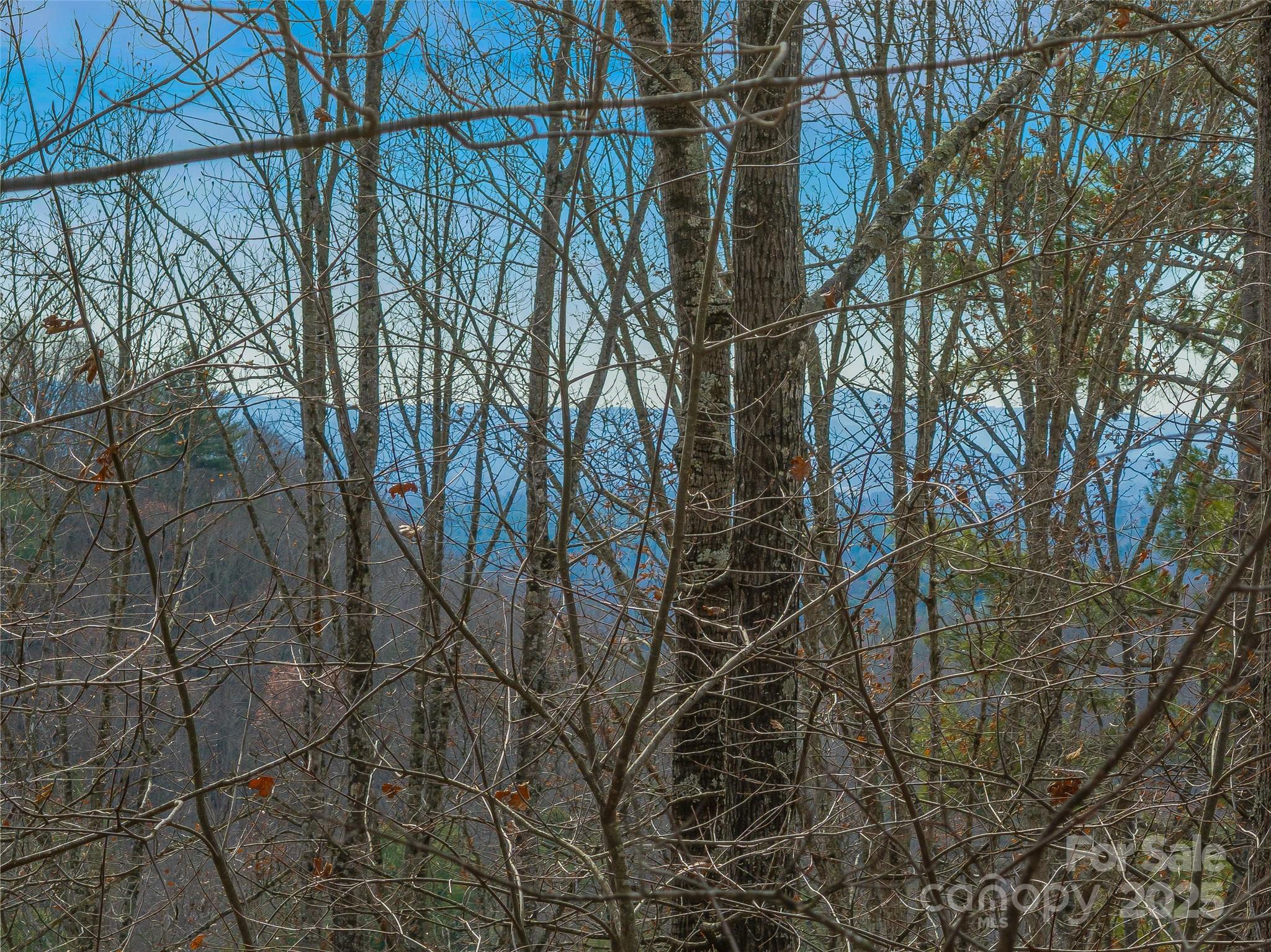 9999-18 Bob Barnwell Road Asheville, NC 28803 - Photo 19 of 25 a backyard of a house