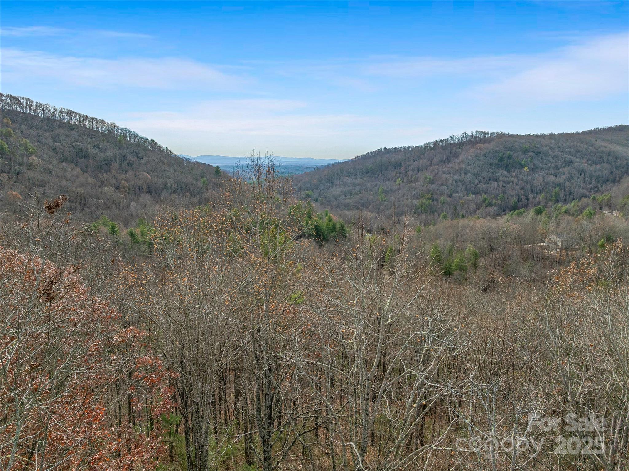 9999-18 Bob Barnwell Road Asheville, NC 28803 - Photo 20 of 25 a view of a dry field with mountains in the background