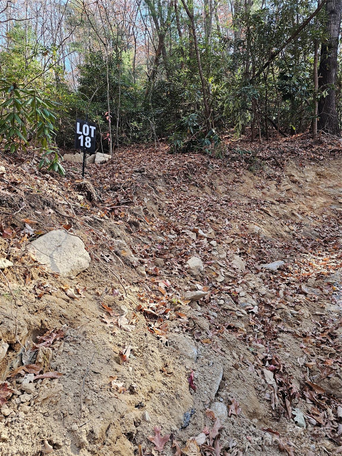 9999-18 Bob Barnwell Road Asheville, NC 28803 - Photo 2 of 25 a view of a bench in a forest