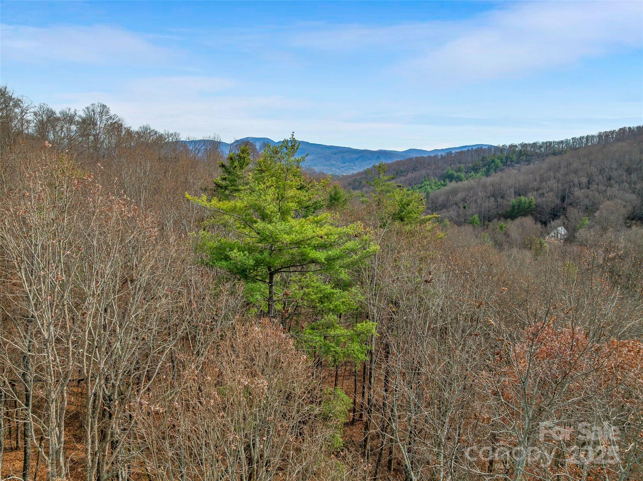 9999-18 Bob Barnwell Road Asheville, NC 28803 - Photo 21 of 25 a view of a lake with a mountain in the background