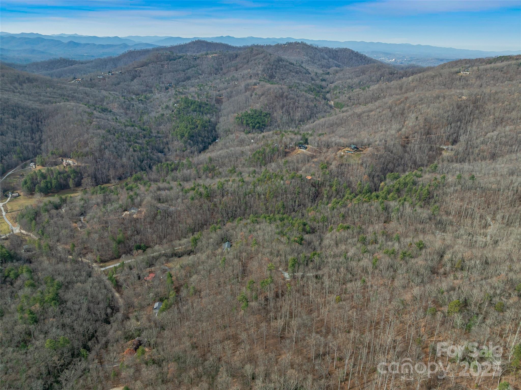 9999-18 Bob Barnwell Road Asheville, NC 28803 - Photo 22 of 25 a view of a dry field with mountains in the background