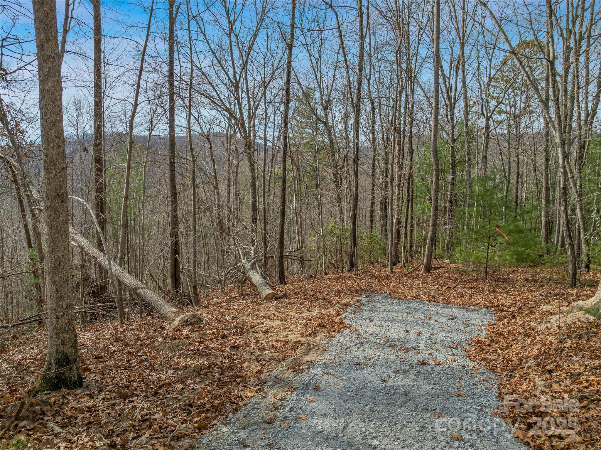 9999-18 Bob Barnwell Road Asheville, NC 28803 - Photo 23 of 25 a big yard with lots of green space