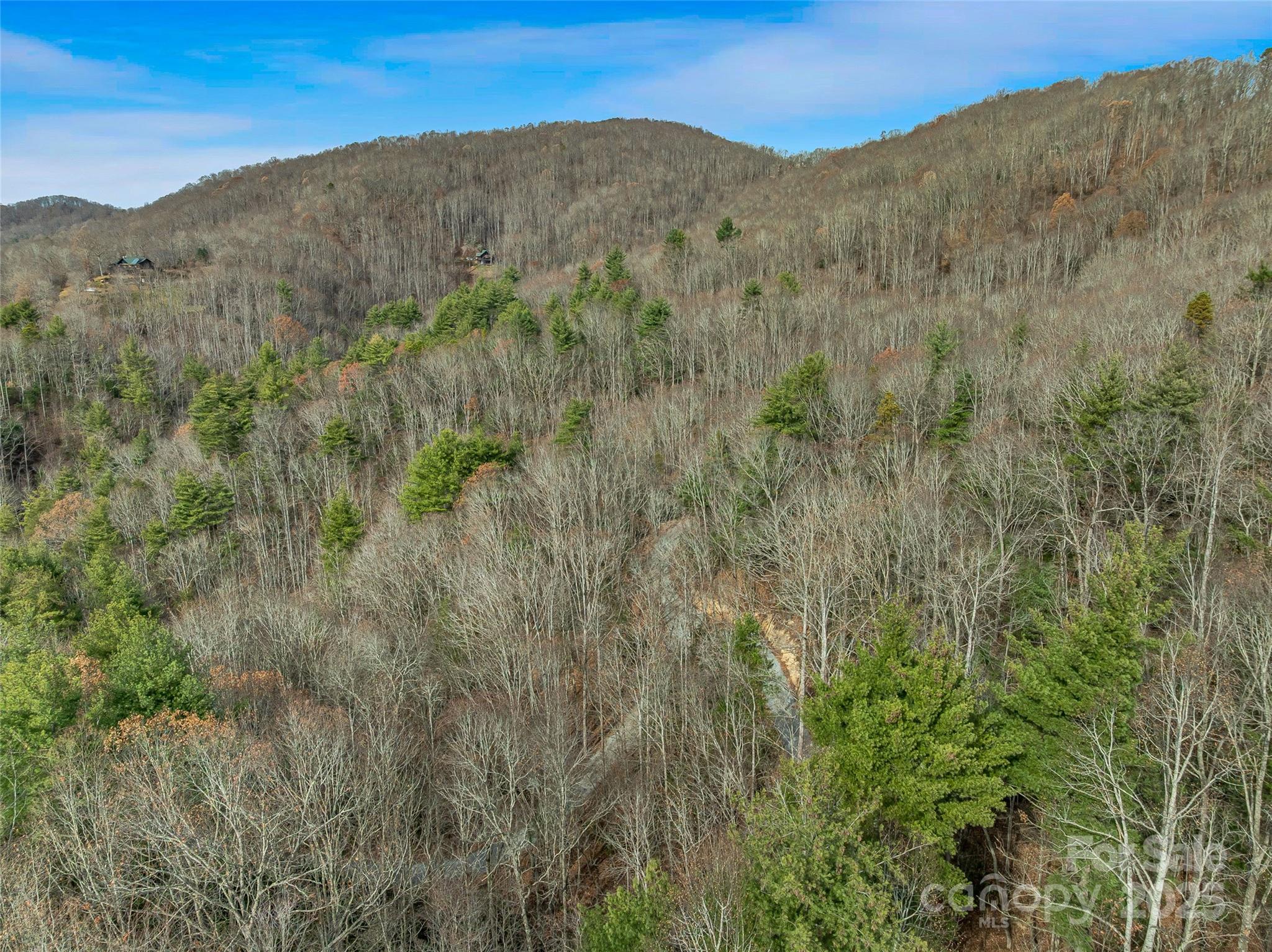 9999-18 Bob Barnwell Road Asheville, NC 28803 - Photo 25 of 25 a view of a mountain in the distance in a field