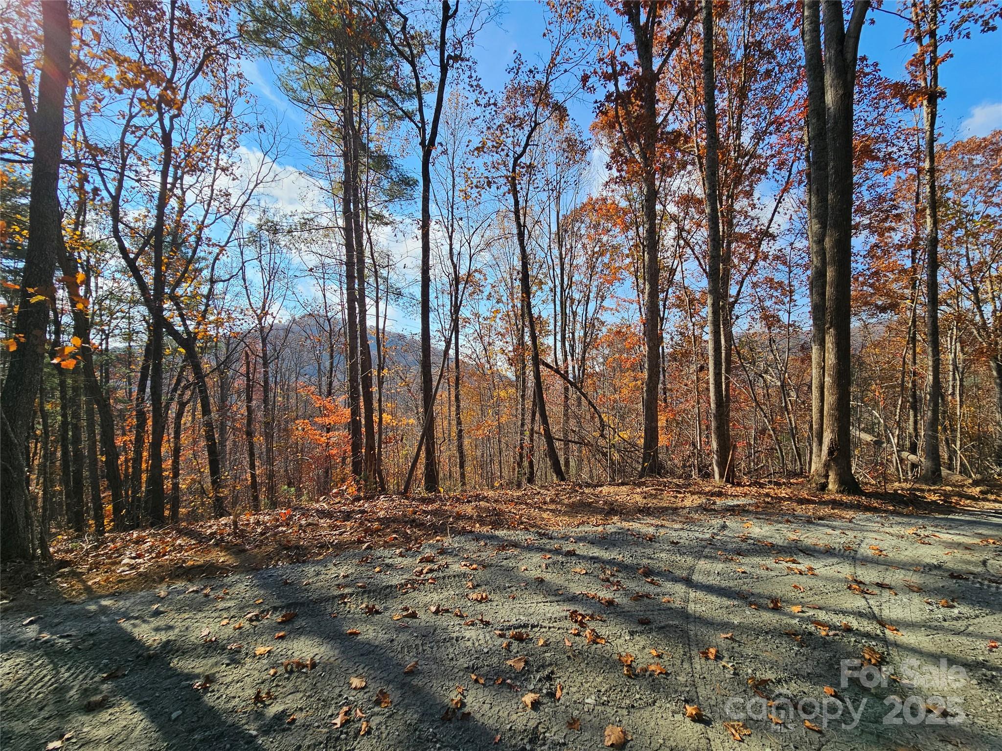 9999-18 Bob Barnwell Road Asheville, NC 28803 - Photo 3 of 25 a view of house with trees
