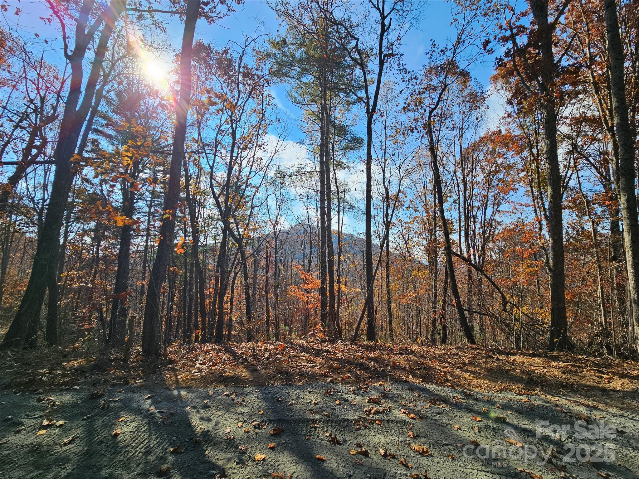 9999-18 Bob Barnwell Road Asheville, NC 28803 - Photo 4 of 25 a view of a backyard of the house