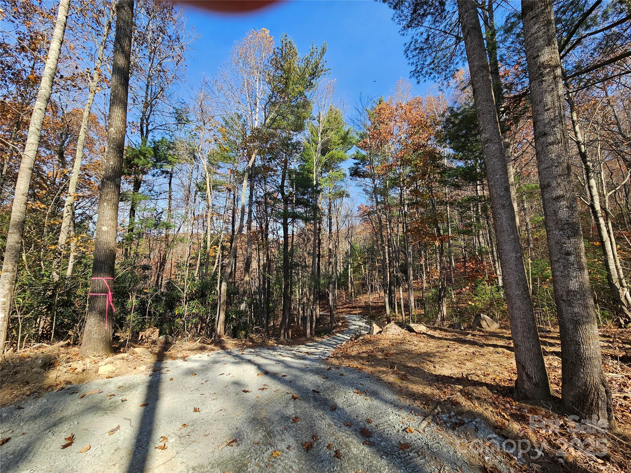 9999-18 Bob Barnwell Road Asheville, NC 28803 - Photo 6 of 25 a view of outdoor space with trees