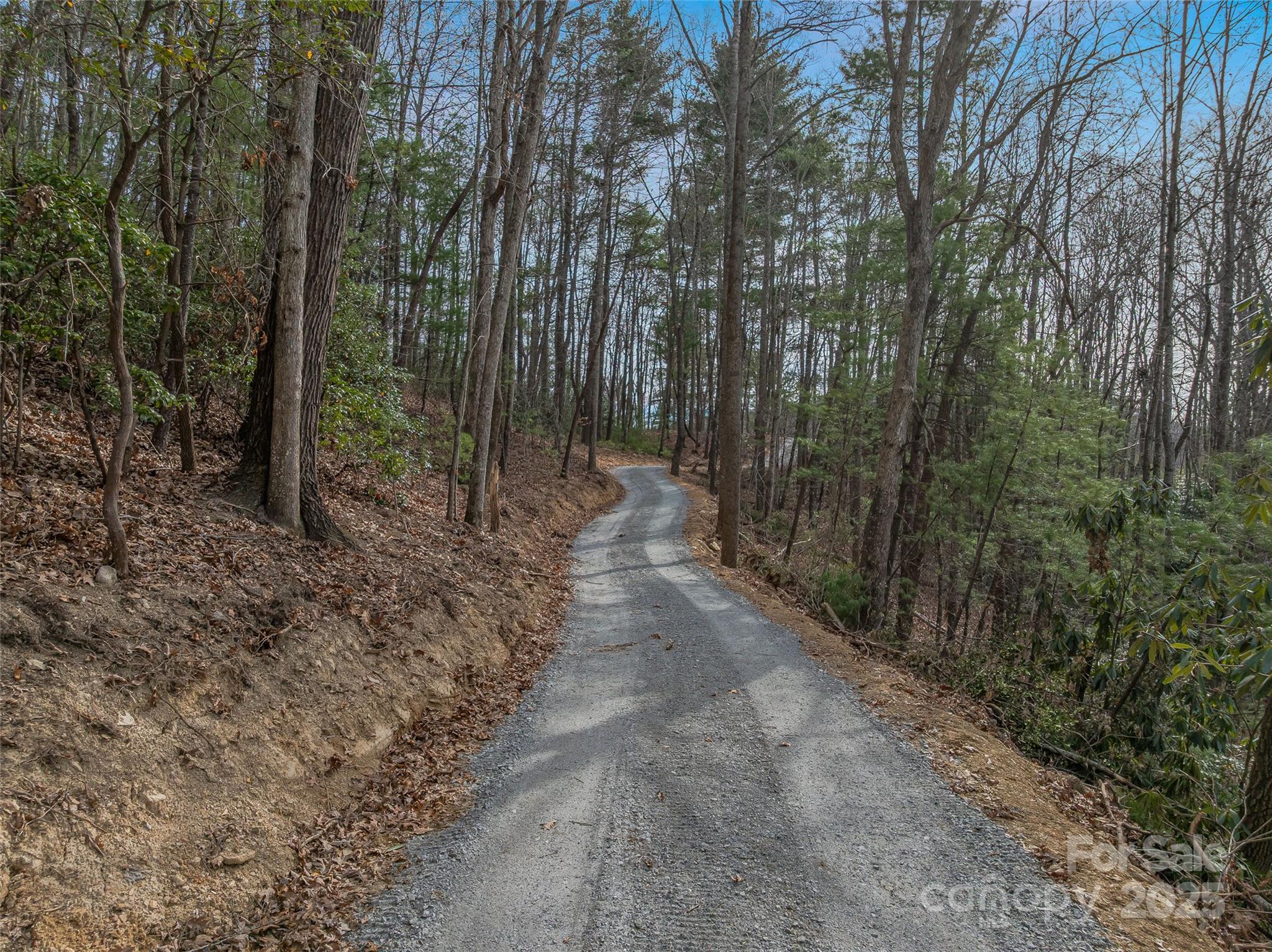 9999-18 Bob Barnwell Road Asheville, NC 28803 - Photo 8 of 25 a view of a forest with trees in the background