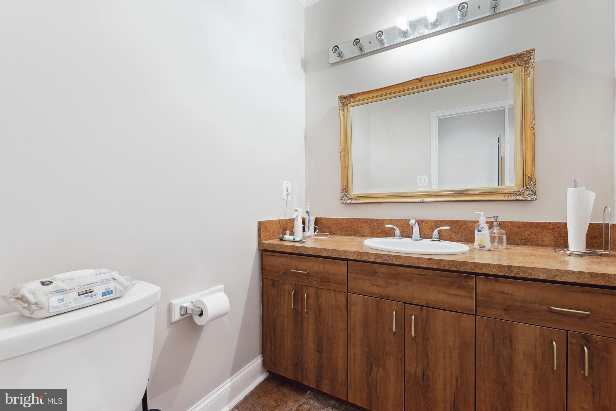 8810 Brickyard Road Potomac, MD 20854 - Photo 116 of 136 Lower level bath