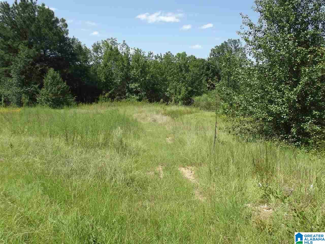 214 Brannen Road Sylacauga, AL 35150 - Photo 34 of 36