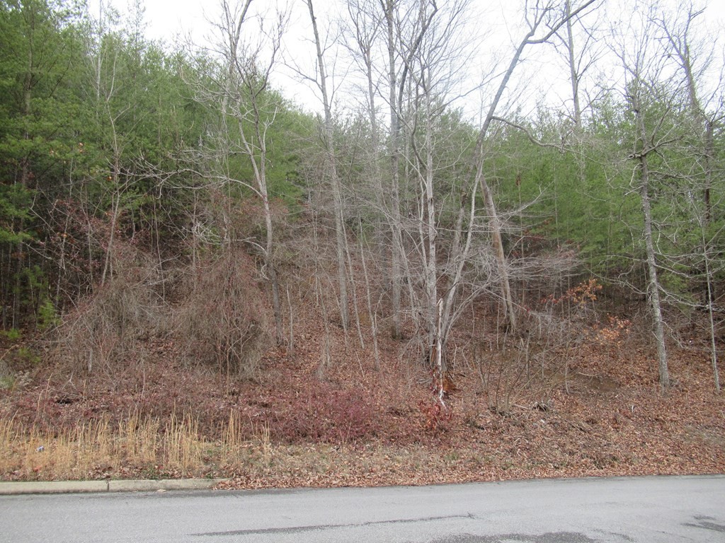 156 Bear Valley Road Sevierville, TN 37876 - Photo 2 of 15