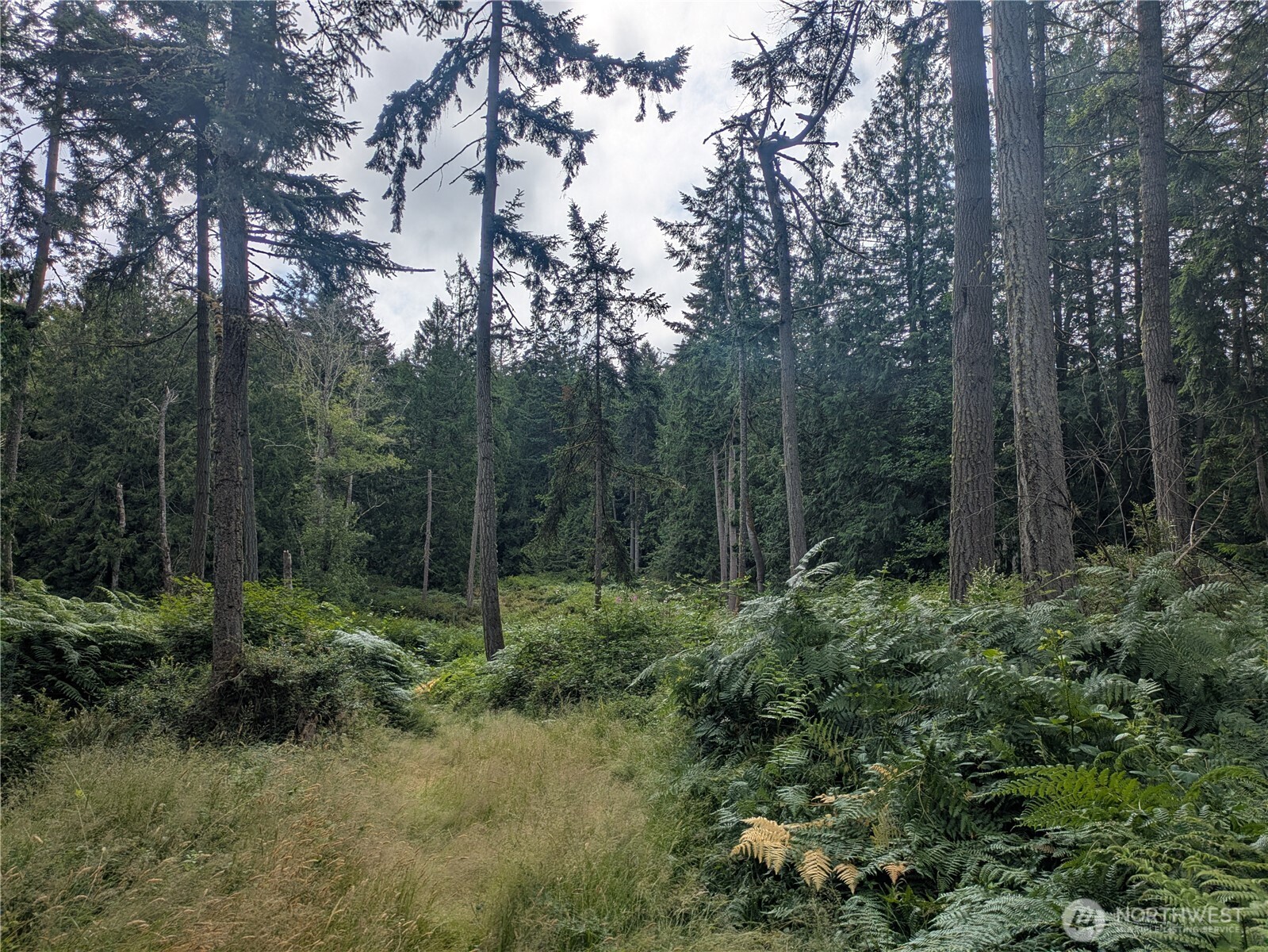 0 Maxwelton Road Langley, WA 98260 - Photo 10 of 13