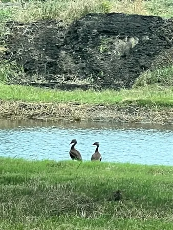 a view of yard with green space