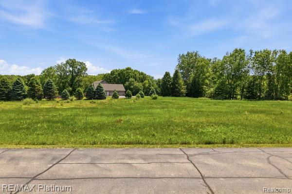 0 Iosco Mountain Road Gregory, MI 48137 - Photo 4 of 22