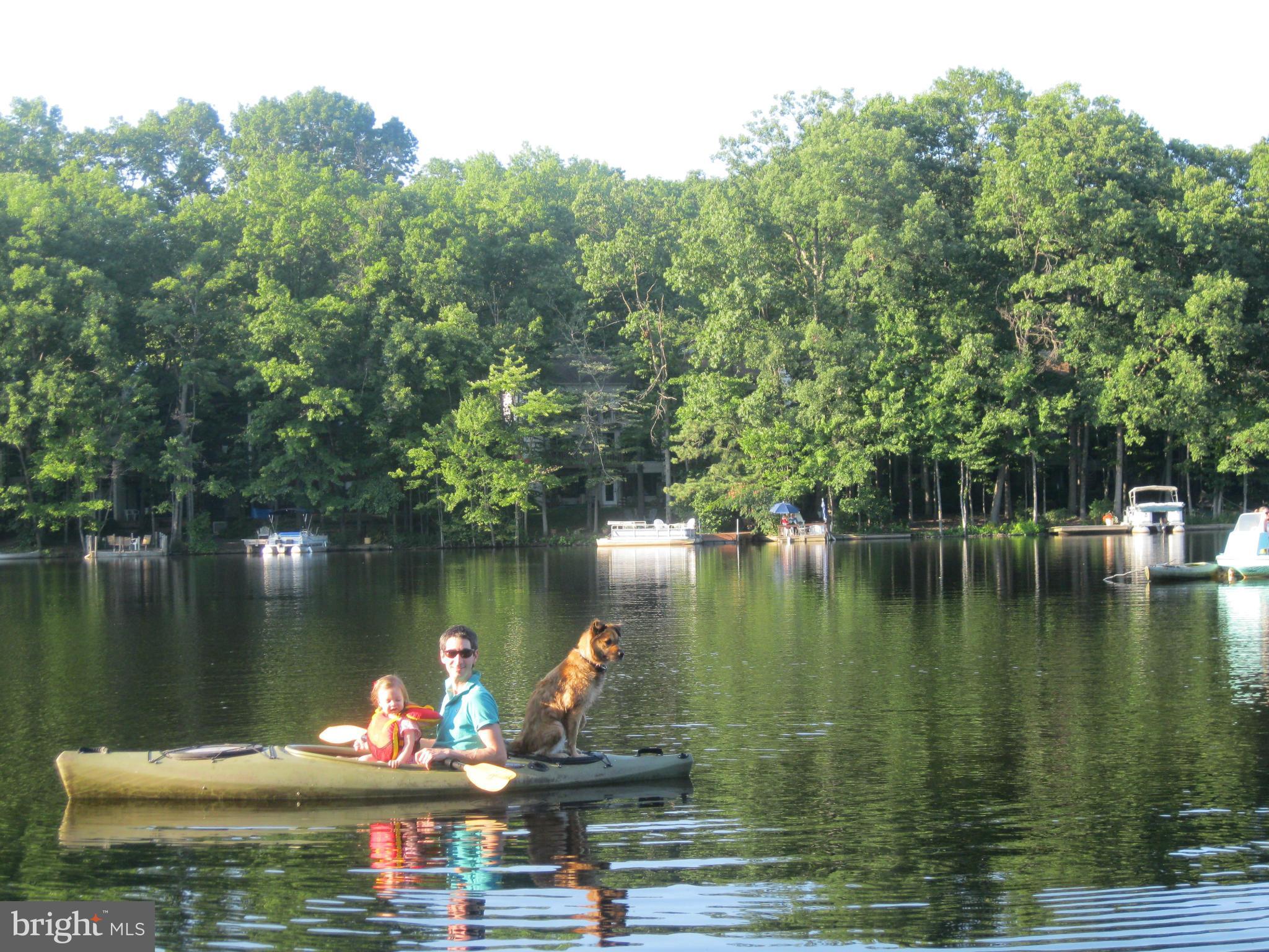 11446 Waterview Cluster Reston, VA 20190 - Photo 24 of 30 a body of water with a tree in the background