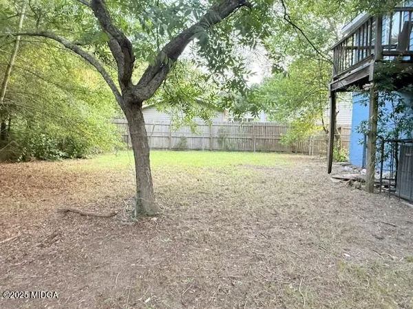 a view of a yard with a tree